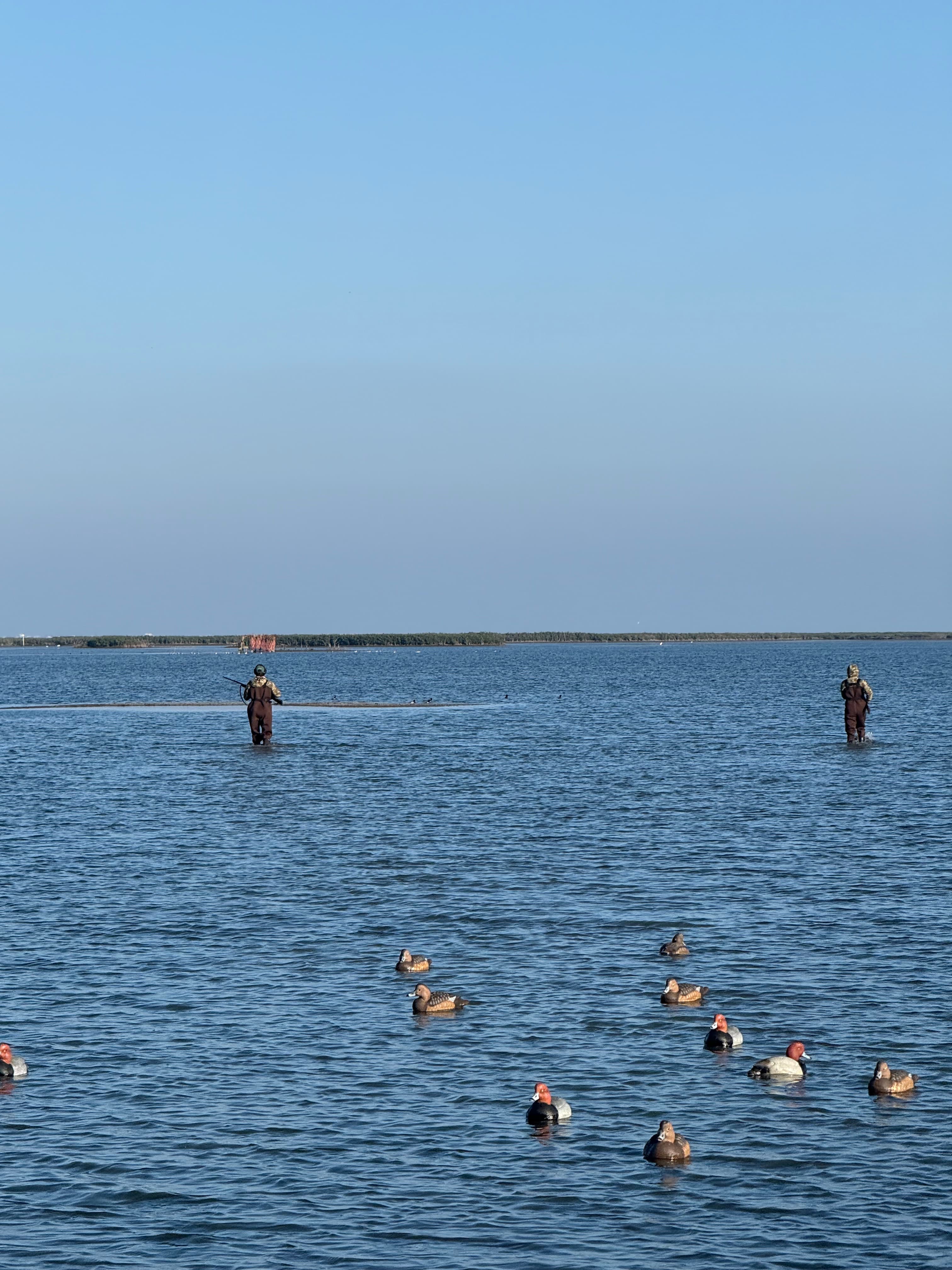 Self-Guided Duck Hunt — Heritage Flats Guide Service & Outfitters